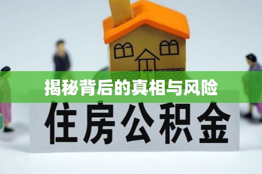 榆社揭秘背后的真相与风险