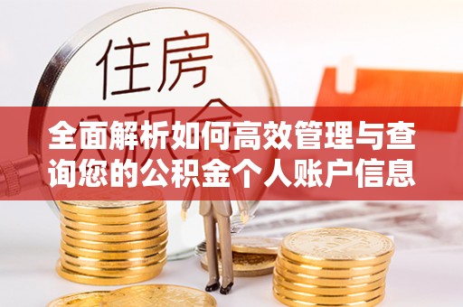 榆社全面解析如何高效管理与查询您的公积金个人账户信息